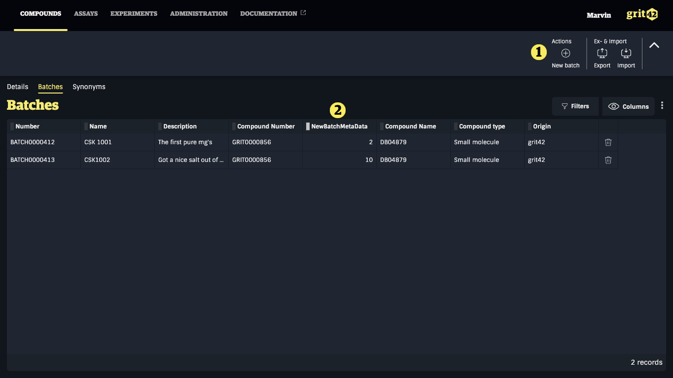 The Batch grid showing new batch button