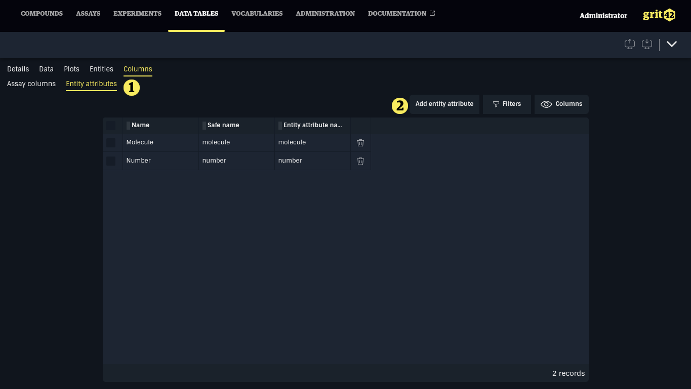 Entity attribute columns tab
